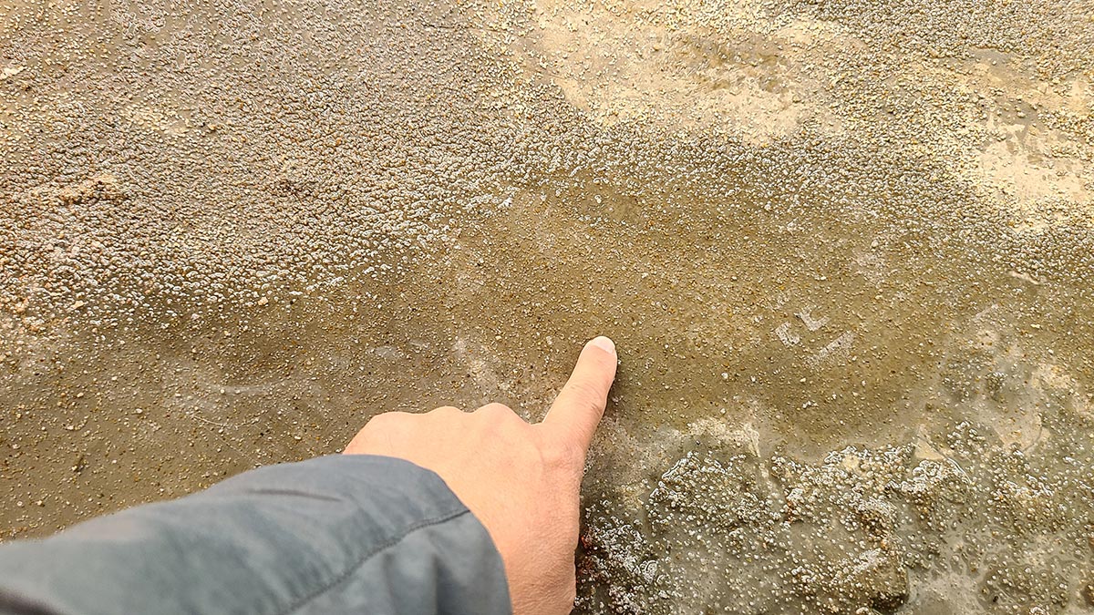 셀프레벨링(자동수평몰탈)의 작업 과정