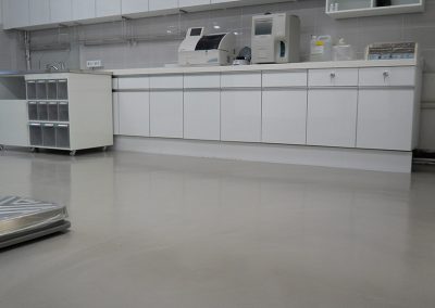 홍대 카라동물병원