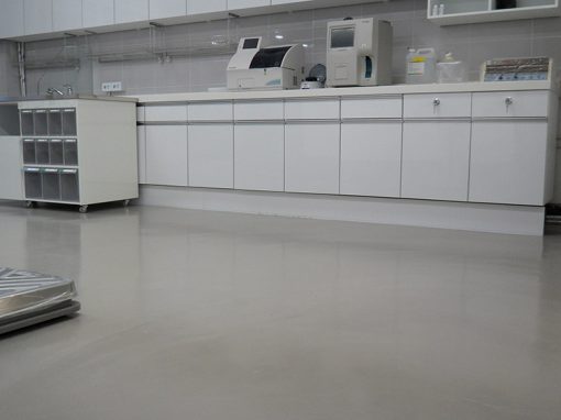 홍대 카라동물병원